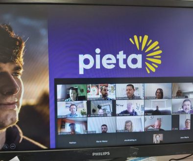 Pieta Presentation to Stocktaking.ie Team